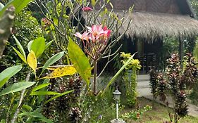 Kubu Artha Bungalow Nusa Penida